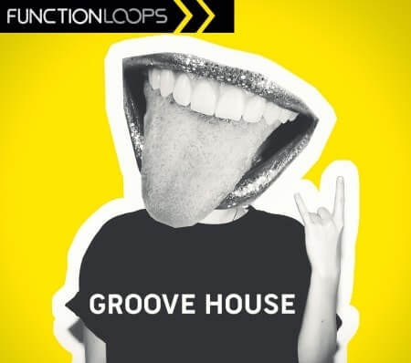 Function Loops Groove House WAV